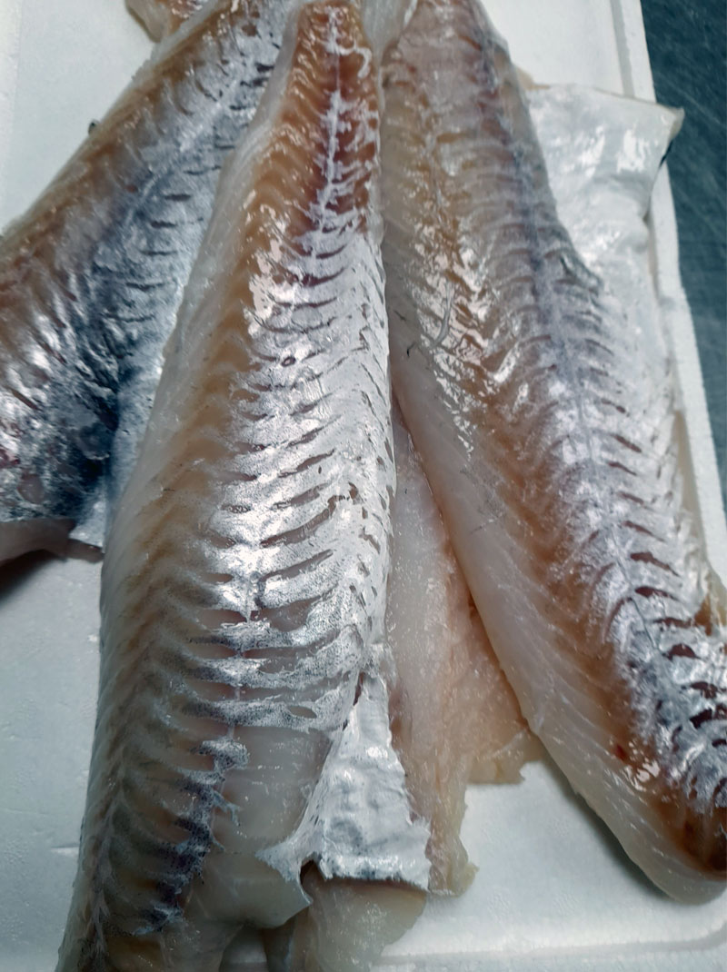 fresh fish fillets